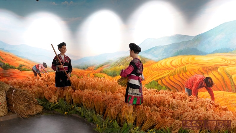 展館設(shè)計(jì)平面布局有哪些創(chuàng)新形式？